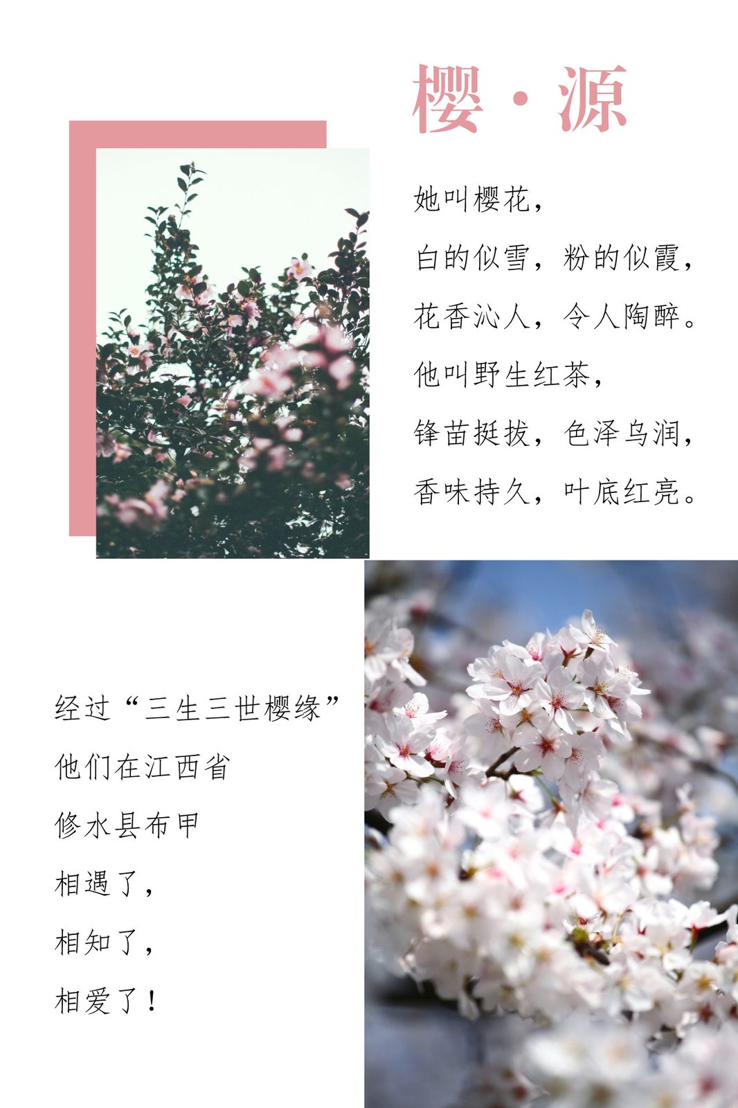 樱源·江西修水布甲乡