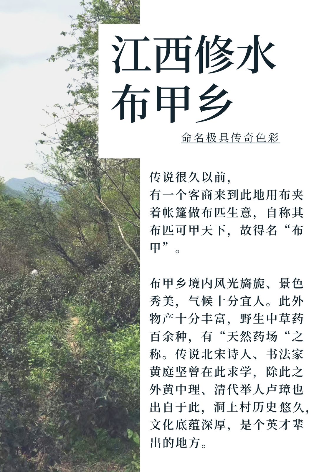 樱·源 樱花与野红茶