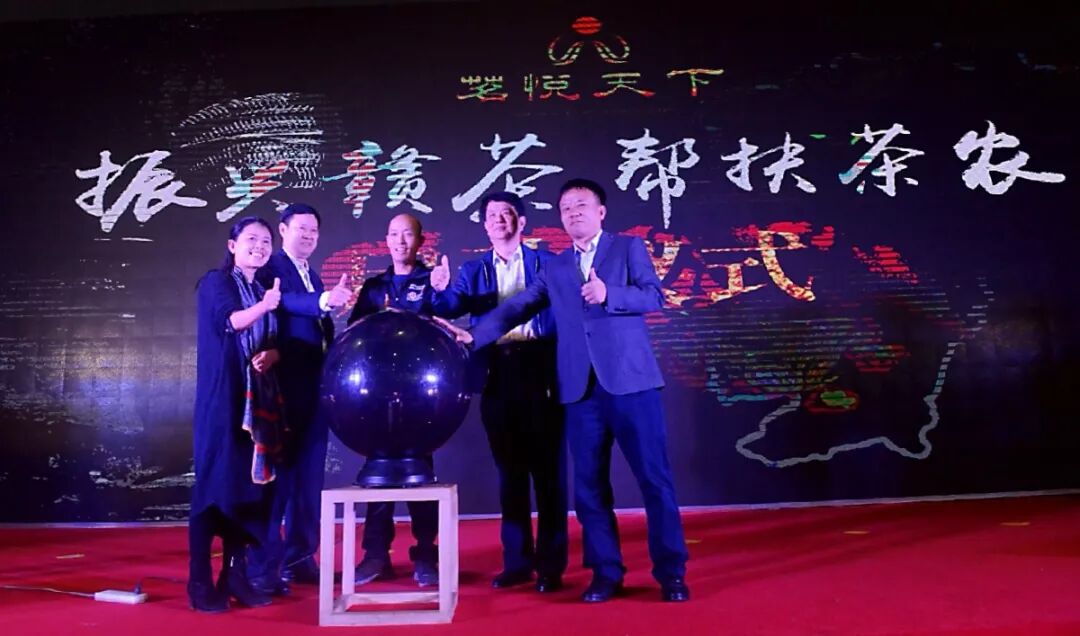 新手买白茶避坑指南：如何选择真正的好茶