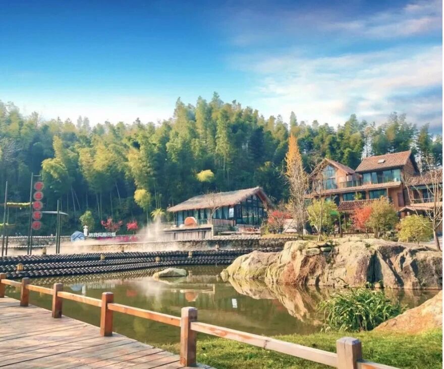 紫清茶山风光