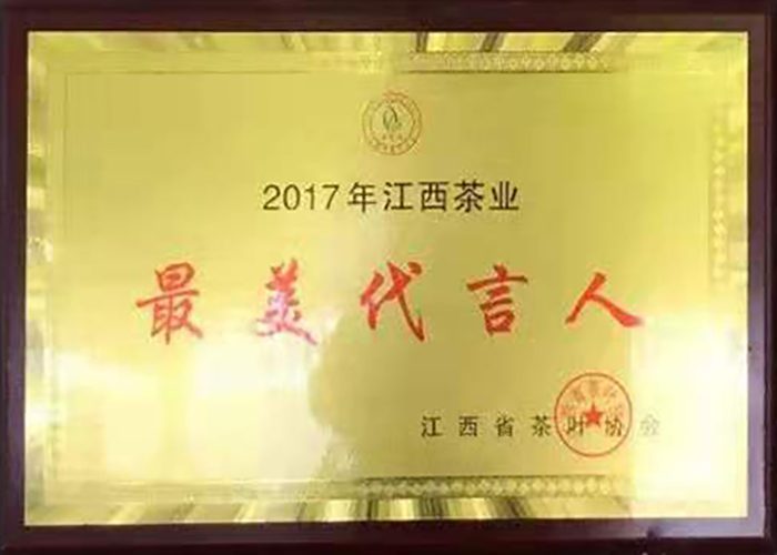 2017年度江西茶业最美代言人
