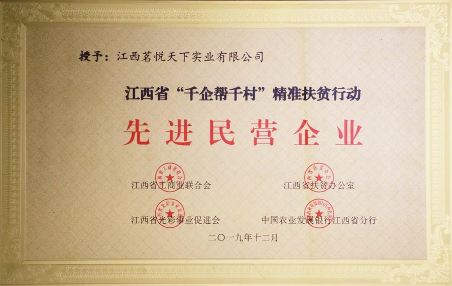 2019年先进民营企业